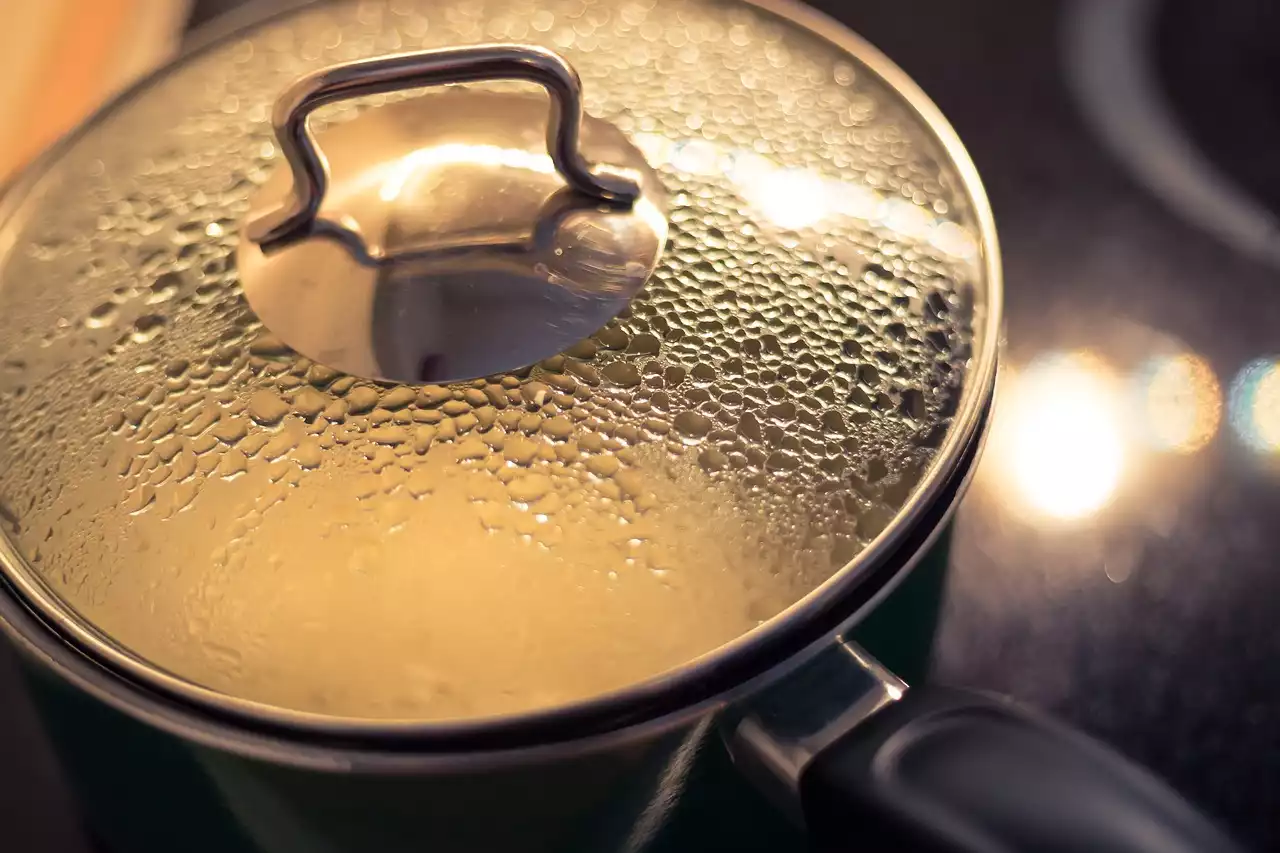 Preparación de comidas saludables: cómo usar la cocción al vapor para cocinar sus comidas con anticipación